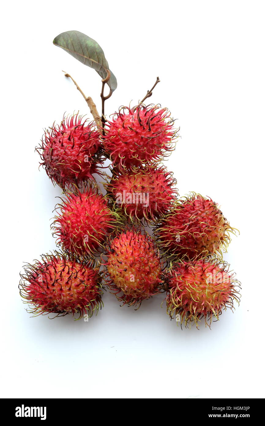 Nahaufnahme von Nephelium Lappaceum oder auch Rambutan Früchte auf weißen Hintergrund isoliert Stockfoto