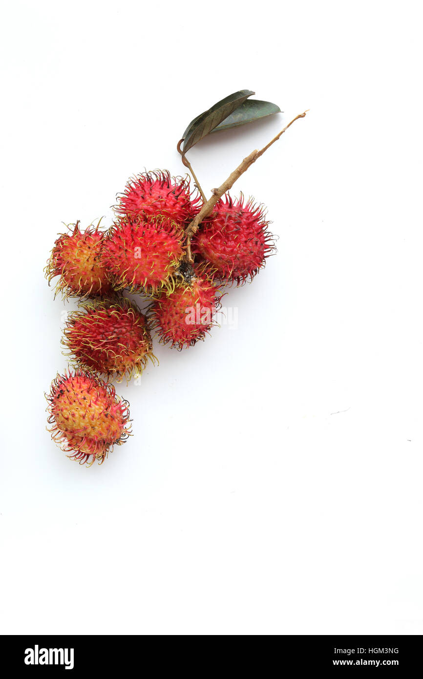 Nahaufnahme von Nephelium Lappaceum oder auch Rambutan Früchte auf weißen Hintergrund isoliert Stockfoto