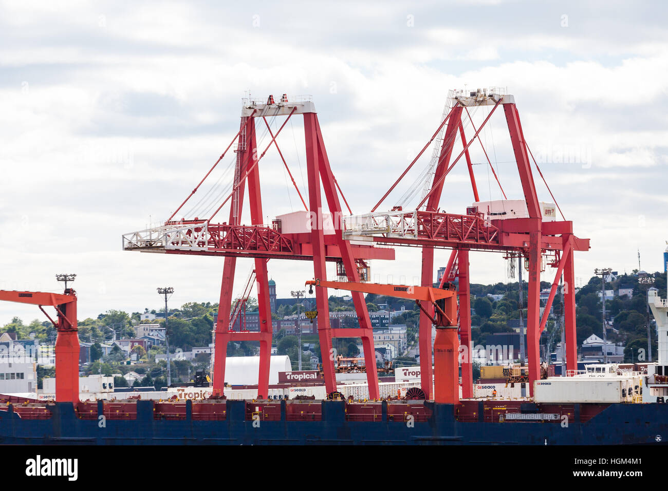 Krane in Kanada Versand Stockfoto