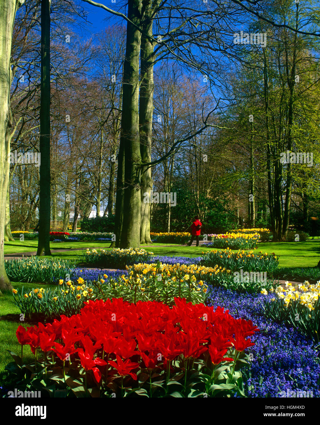 Keukenhof Gärten, Lisse, in der Nähe von Amsterdam, Holland Stockfoto