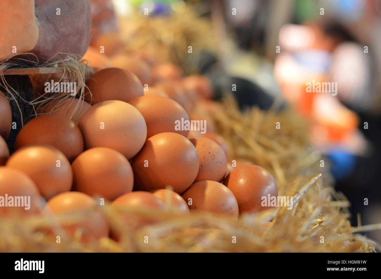 Markt Ei Bauernhof Nisten Stroh La Boqueria Barcelona Stockfoto