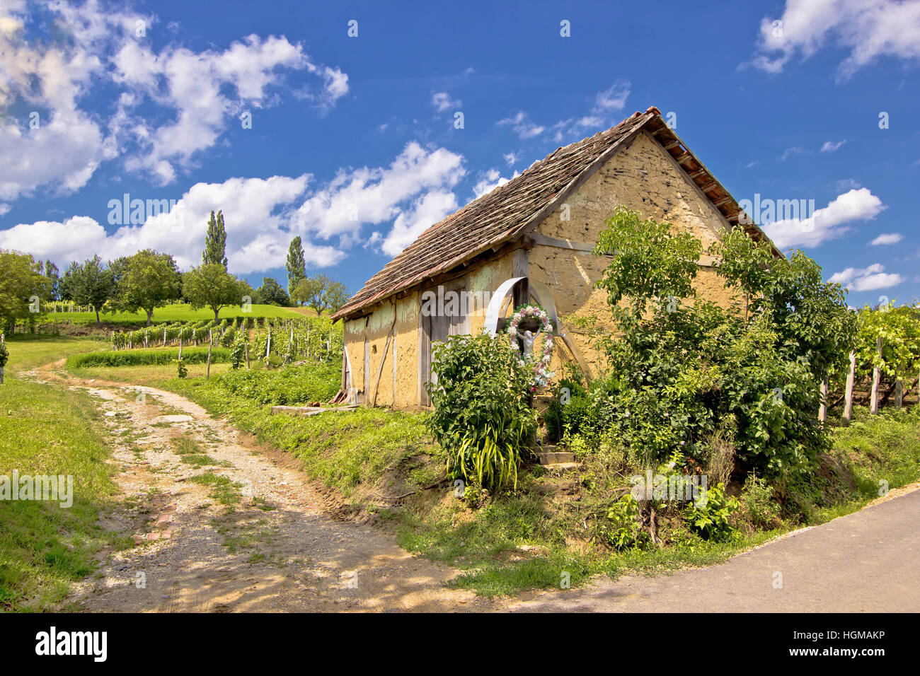 Weinberge und Schlamm machte Hütte in Prigorje Region, Kroatien Stockfoto