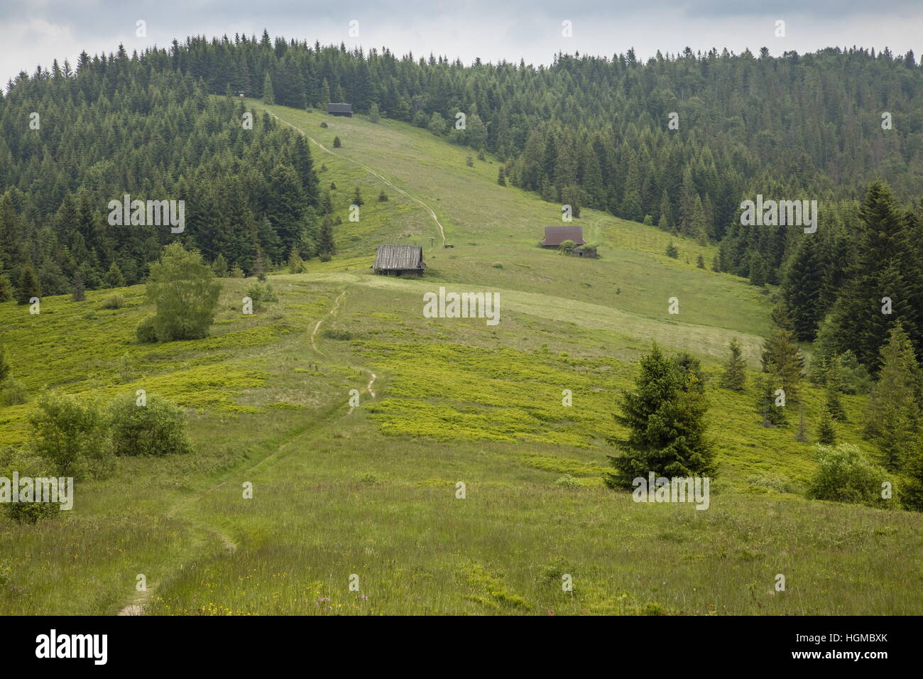 Bewaldete Bergrücken Stockfotos und -bilder Kaufen - Alamy