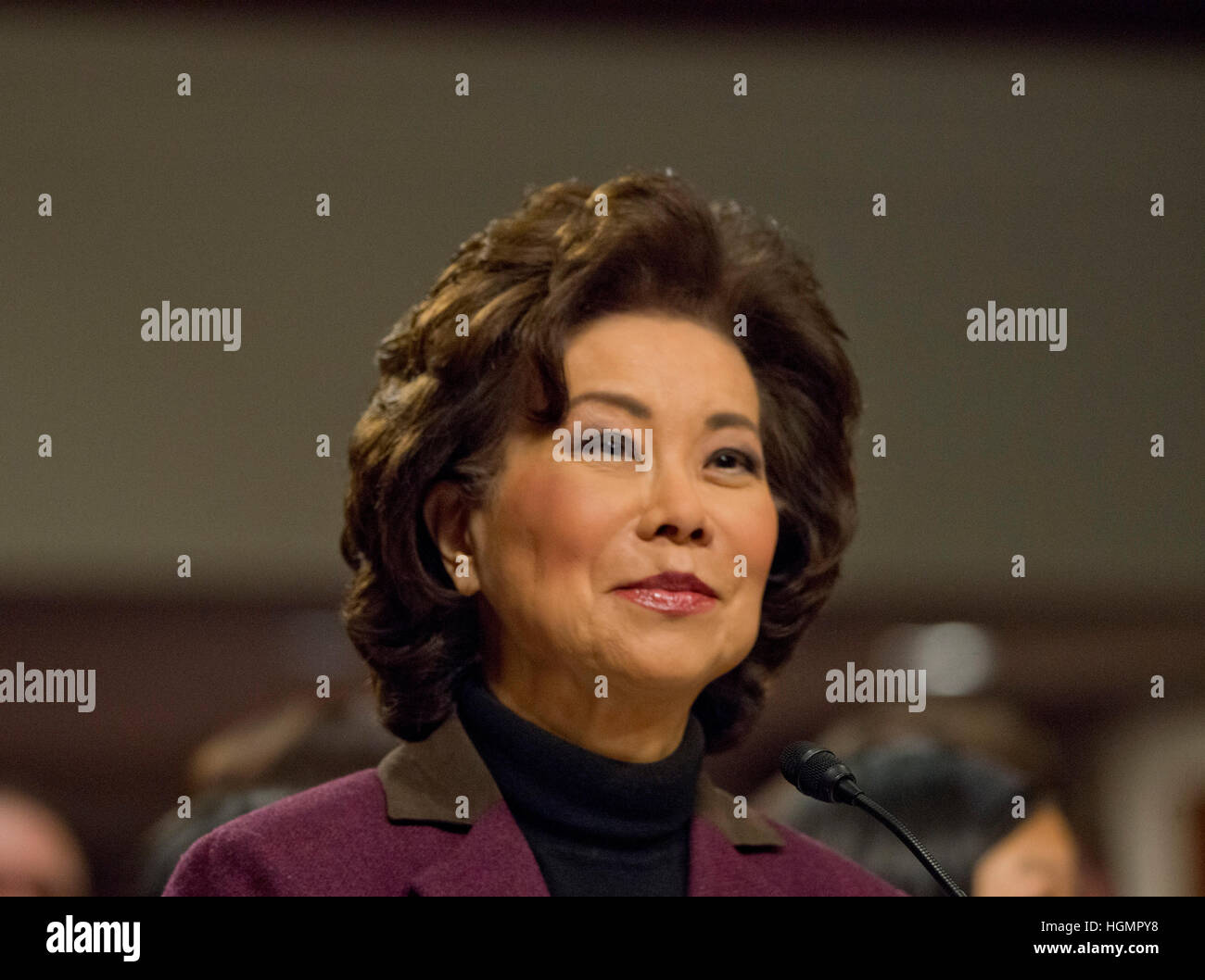 Elaine Cho bezeugt bei ihrer Anhörung Sec Transporation sein Stockfoto