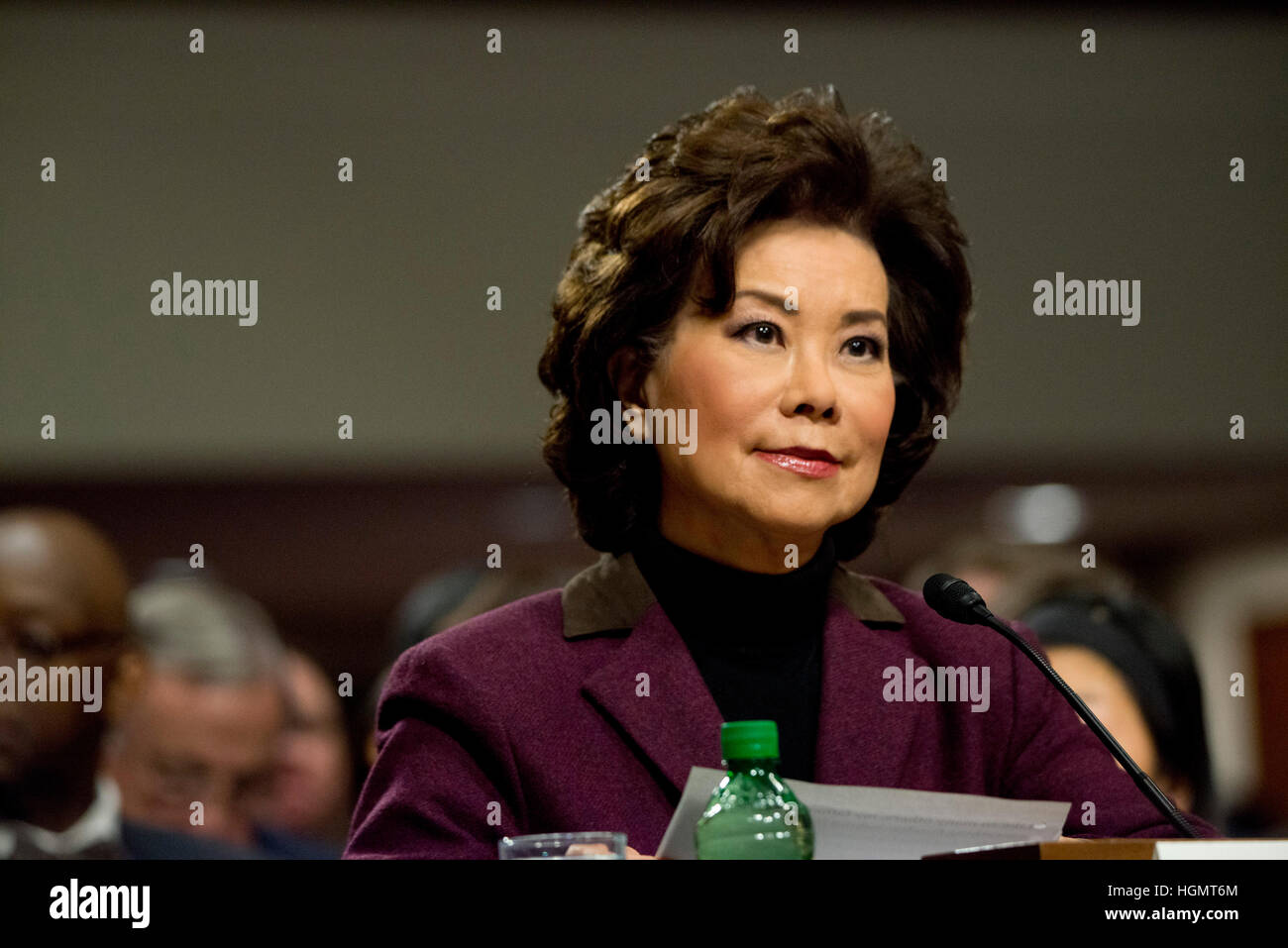 Washington DC, 11. Januar 2017, USA: Elaine Chao bezeugt auf dem Capitol Hill in ihrer Anhörung zu der Verkehrsminister. Bildnachweis: MediaPunch Inc/Alamy Live-Nachrichten Stockfoto