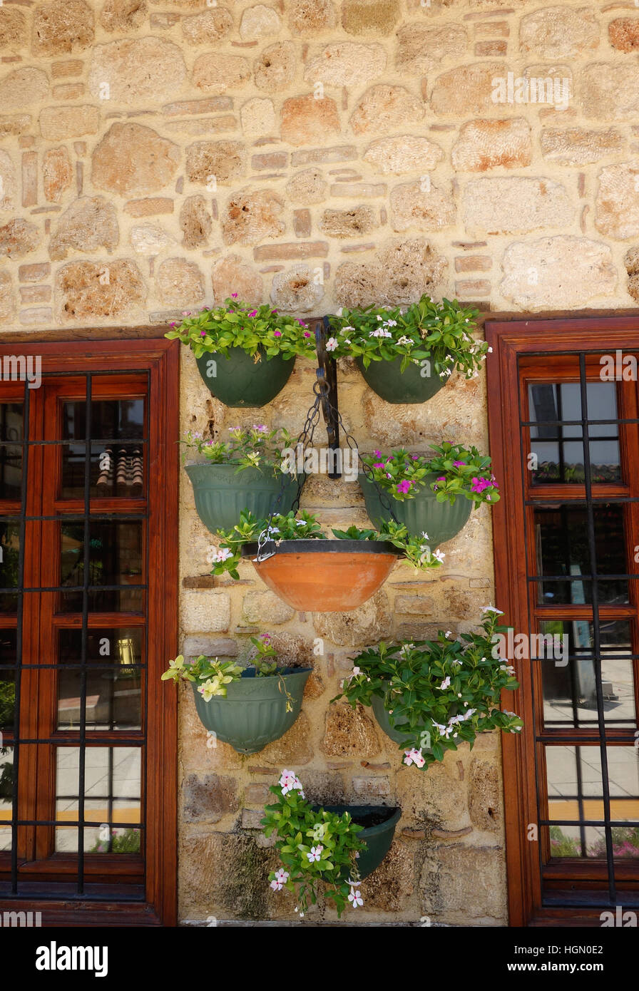 Blumen in dekorativen Töpfen auf der Steinmauer Stockfoto
