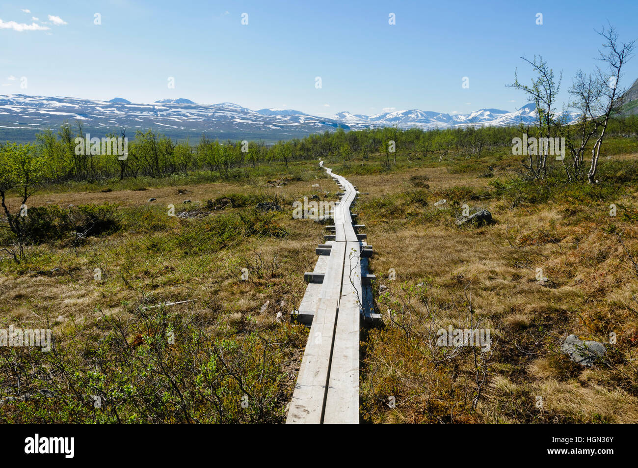 Lappland Landschaft Wanderweg im Malla strenge Naturschutzgebiet