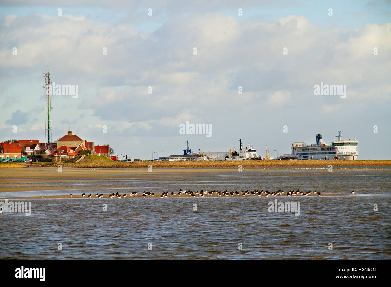 Dorf mit Fähre auf die niederländische Insel Terschelling, im Vordergrund Austernfischer auf einer sandbank Stockfoto
