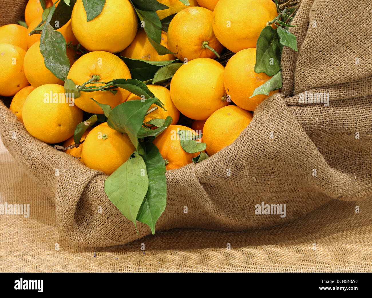 Leinensack mit natürlichen Orangen mit grünen Blättern Stockfoto