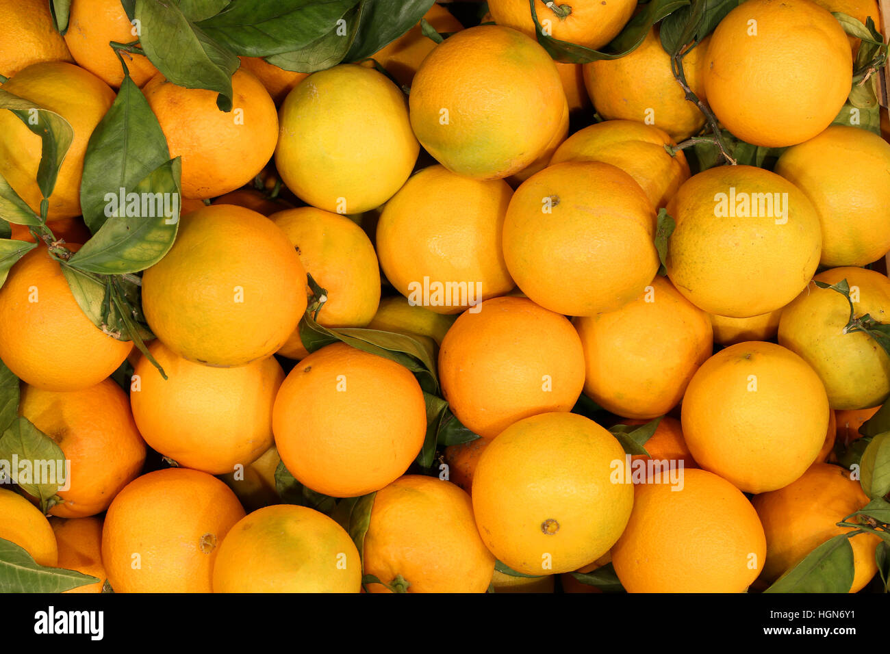Hintergrund von vielen Orangen ohne chemische Behandlungen mit Blätter Stockfoto
