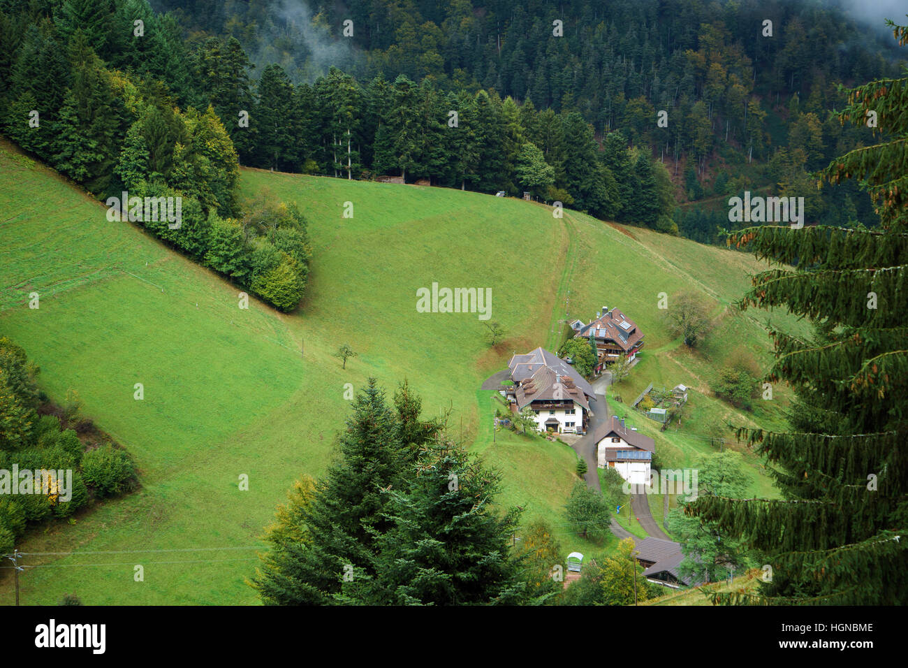 Gruppe von Häusern im Naturpark Sudscwarzwald im süddeutschen Raum Stockfoto