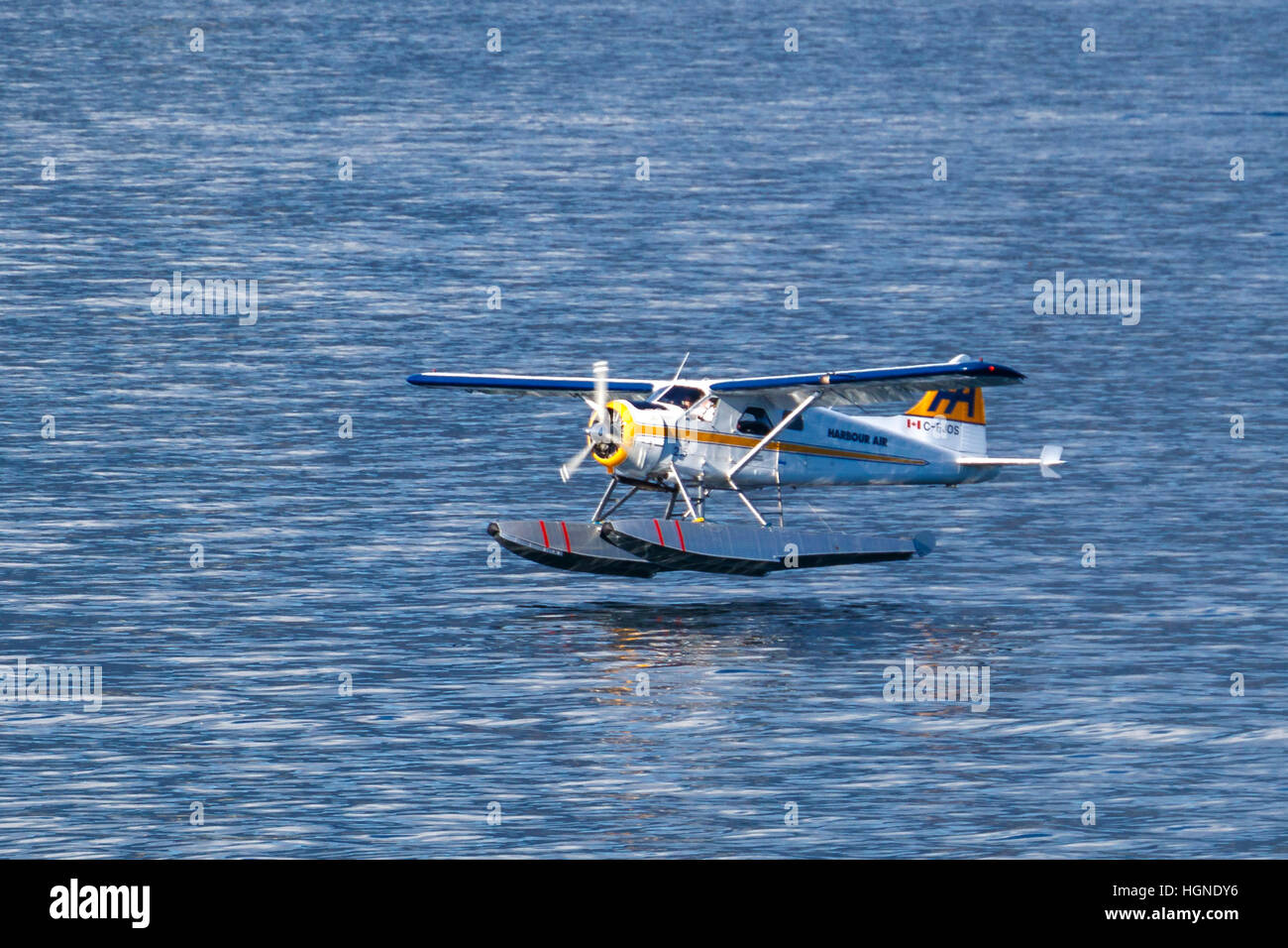 Eine De Havilland Beaver Harbour Air Wasserflugzeug startet vom Horbour Vancouver, British Columbia, Kanada. Stockfoto