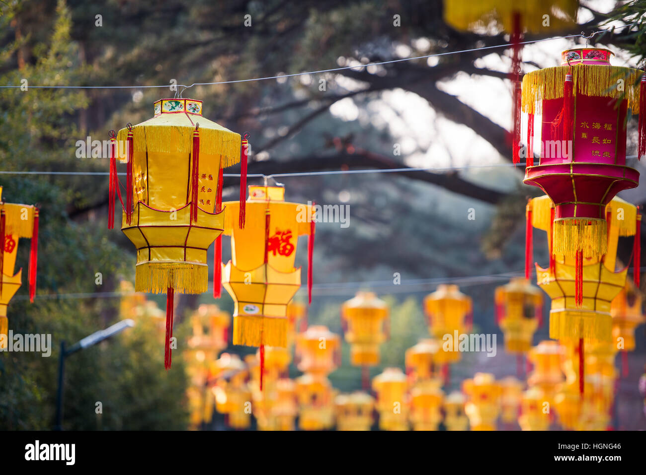 Chinesische Laterne im Park im freien feiern Neujahr hängen Stockfoto