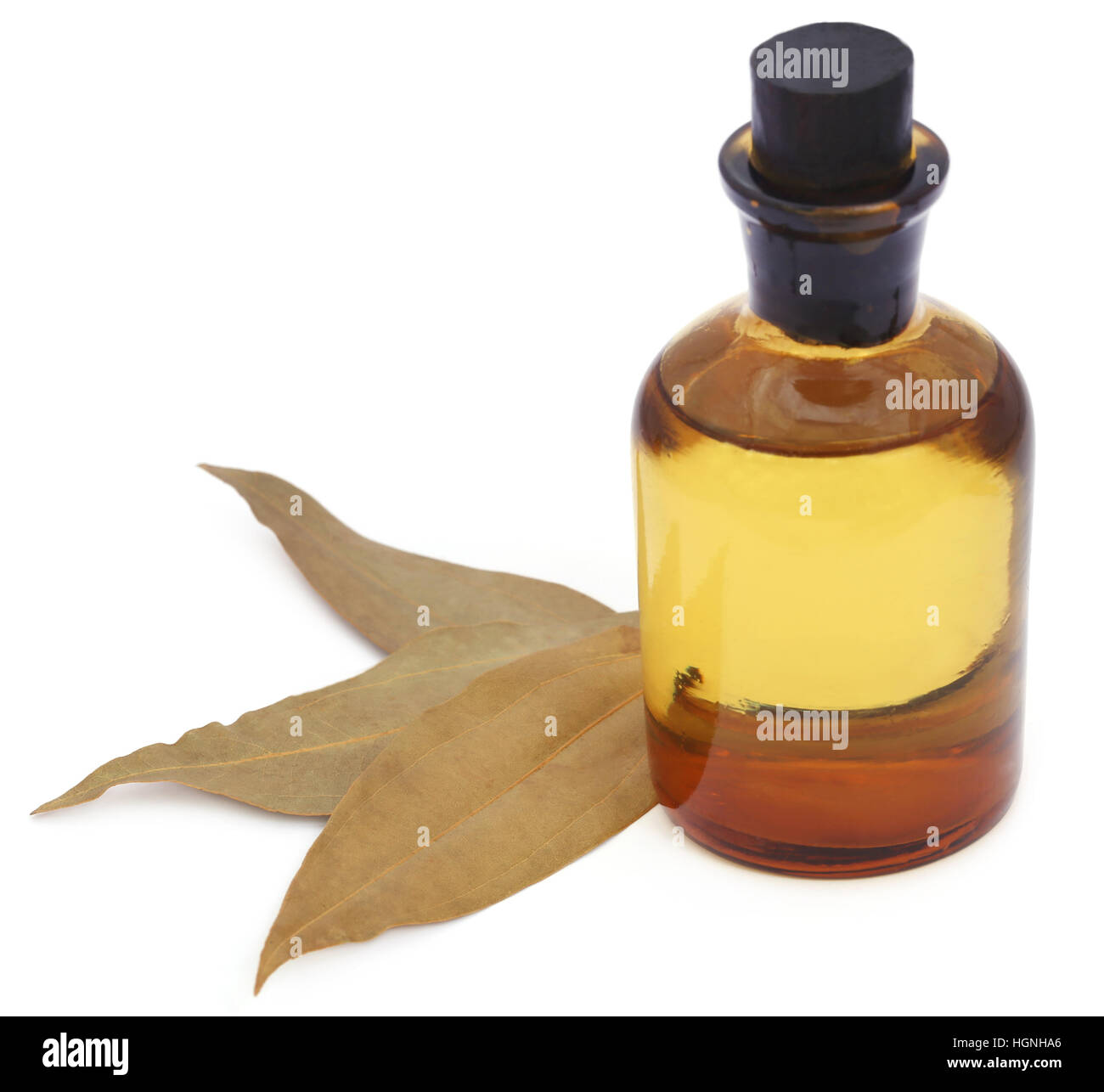 Lorbeerblätter mit ätherischen Ölen auf weißem Hintergrund Stockfoto