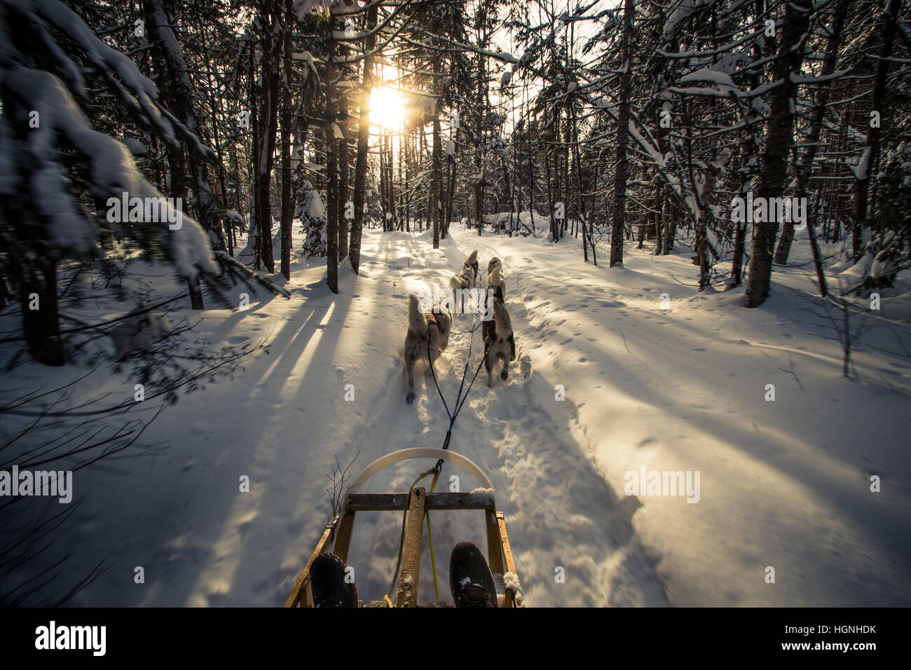 Erstaunlicher Anblick eines kanadischen Winter Stockfoto