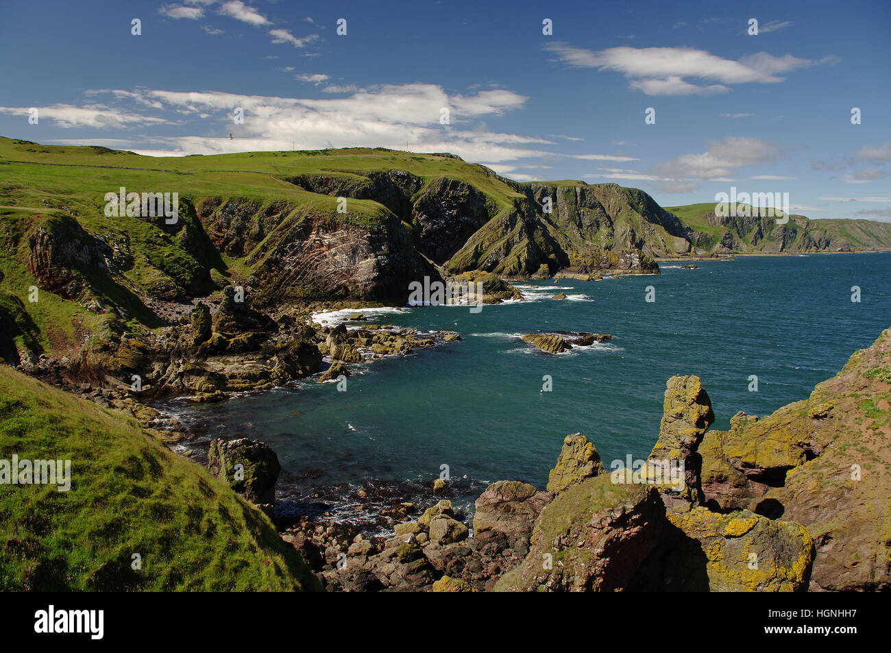 St. Abbs Head, Scottish Borders Stockfoto
