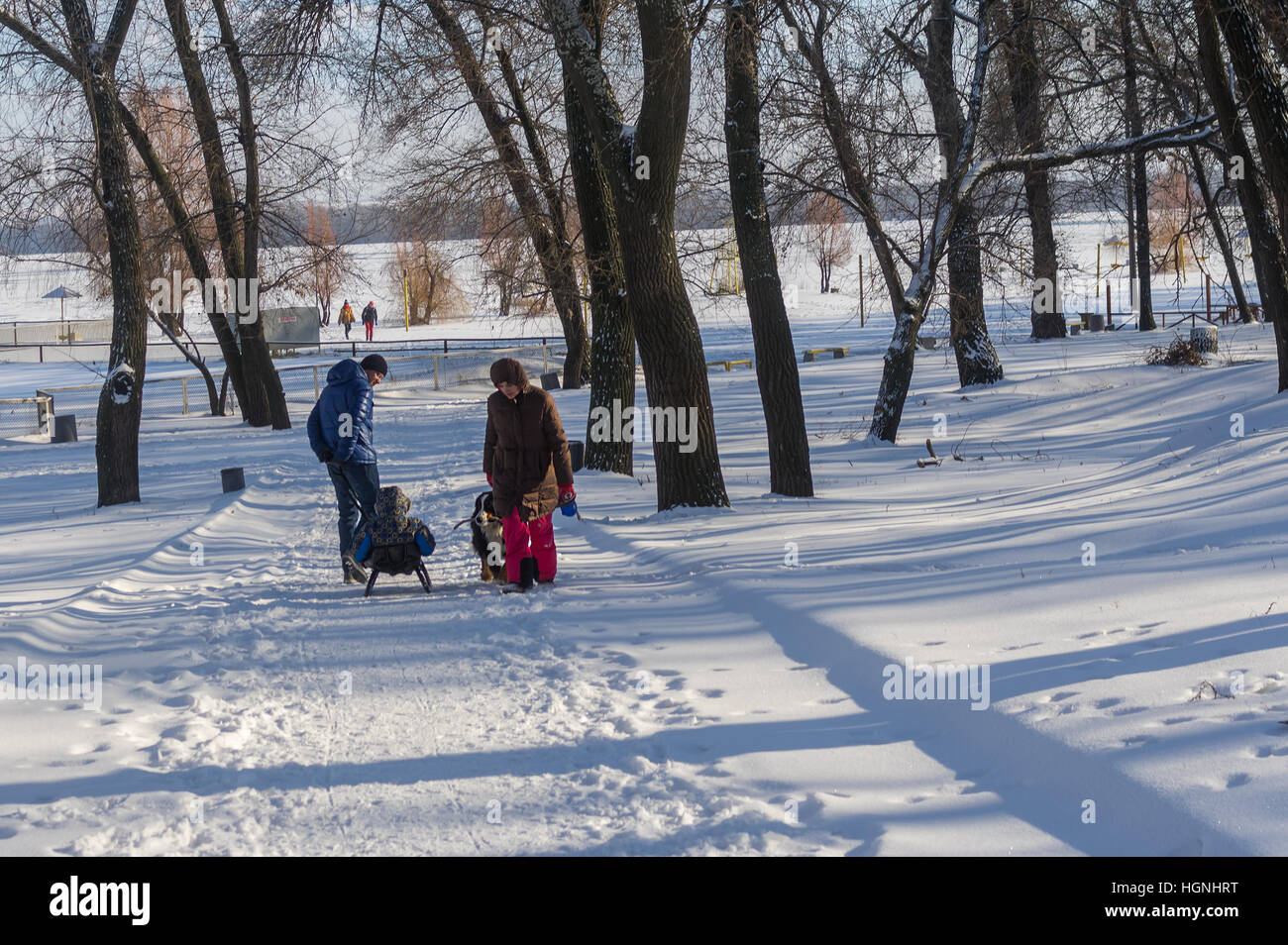 DNEPR, UKRAINE - 08 Januar 2017:Man mit Kind auf einem Schlitten vorbei an Frau mit großer Hund (Berner Sennenhund) Wandern im verschneiten Winter Park in Dnepr Stadt Stockfoto