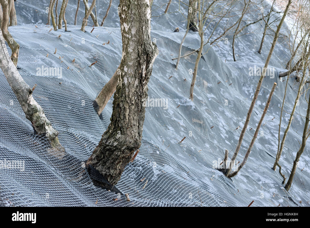 Berghang verstärkt Metall Schutzgitter Stockfoto