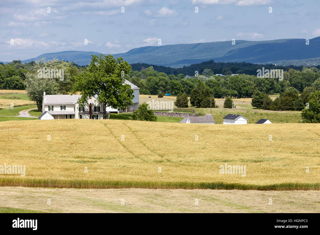 Antietam Battlefield, Maryland.  Bebaute Felder decken heute das Schlachtfeld.  Mumma Bauernhaus auf der linken Seite. Stockfoto