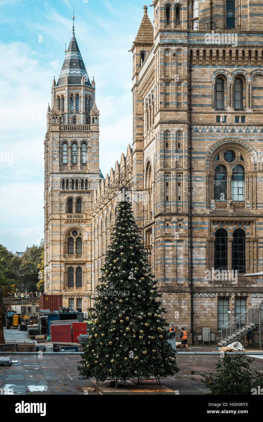 London, Vereinigtes Königreich - 17. Oktober 2016: Weihnachtsbaum Natural History Museum in London, Großbritannien vor Weihnachten Stockfoto