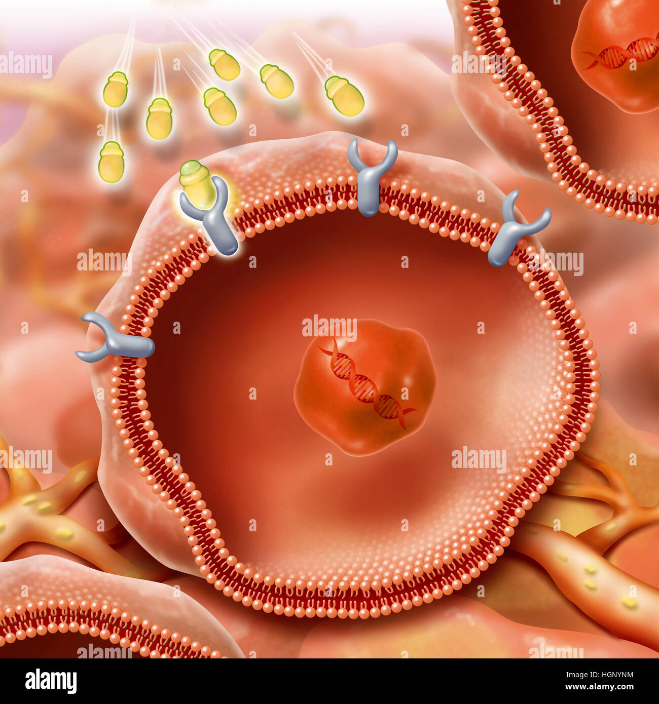 STRAHLENTHERAPIE, ILLUSTRATION Stockfoto