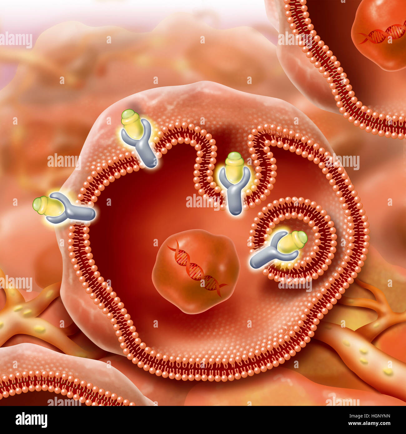 STRAHLENTHERAPIE, ILLUSTRATION Stockfoto