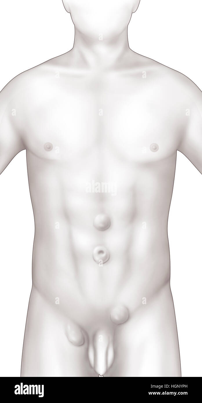 LEISTENBRUCH, ILLUSTRATION Stockfoto