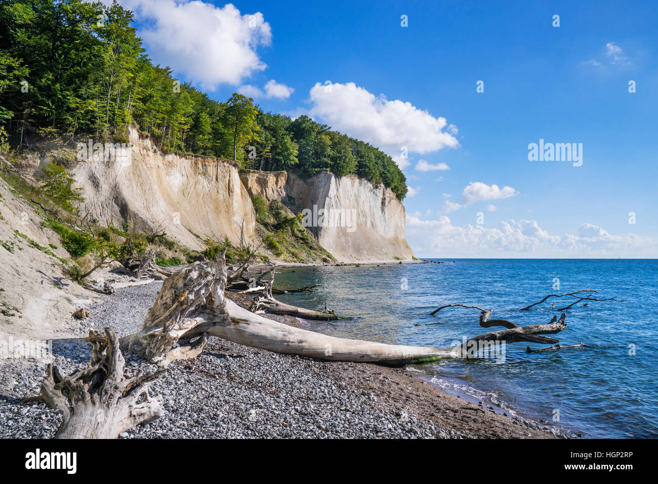 Kreidefelsen Sie im Jasmund National Park in der Nähe von Königsstuhl (Königs Stuhl) auf der Insel Rügen, Mecklenburg-Vorpommern, Deutschland Stockfoto