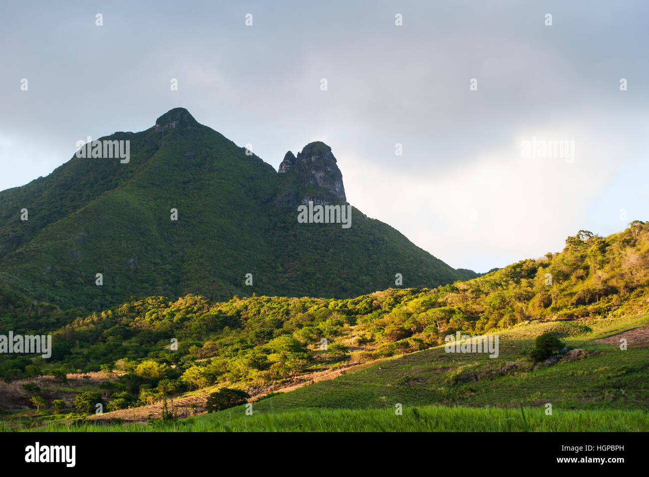 Landschaft der Insel Mauritius. Stockfoto