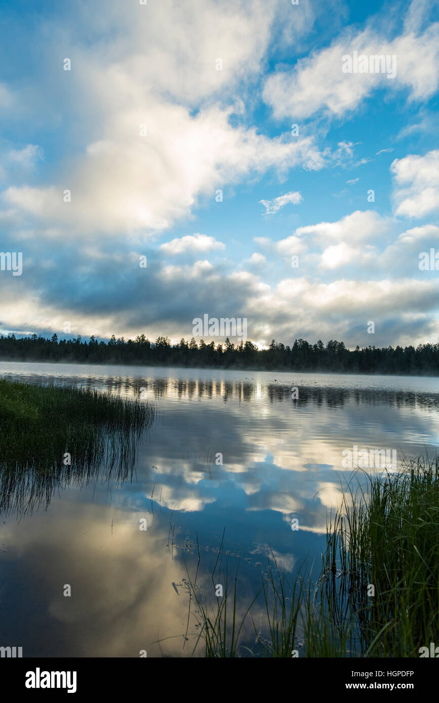Geschwollene weißen Wolken spiegeln sich in das blaue Wasser des Delintment Sees mit Wiesen und Schilf im Vordergrund Stockfoto
