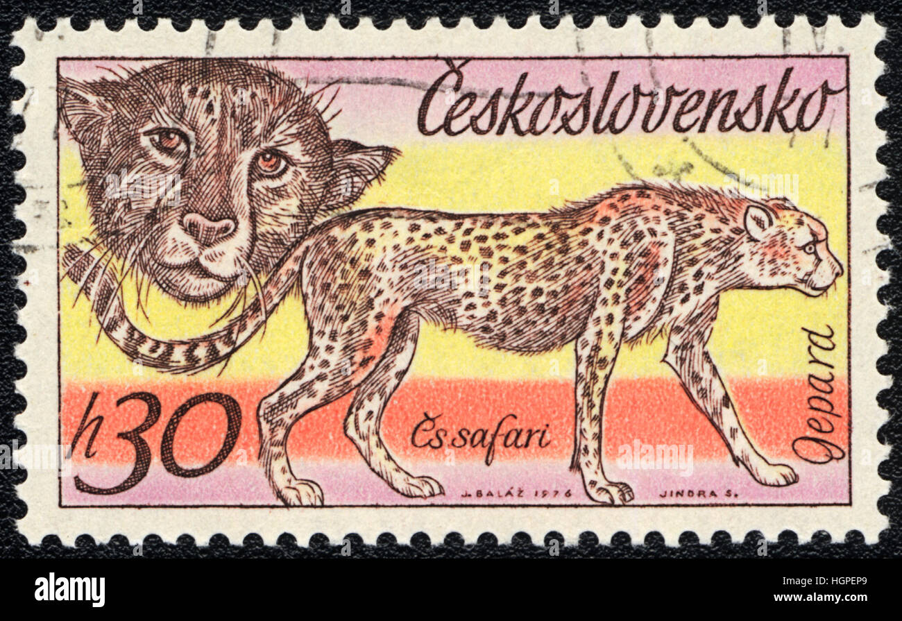 Eine Briefmarke gedruckt in der Tschechoslowakei zeigt Geparden, 1976 Stockfoto