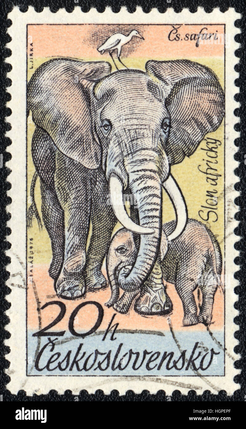 Eine Briefmarke gedruckt in der Tschechoslowakei zeigt Loxodonta (Elefant), 1976 Stockfoto
