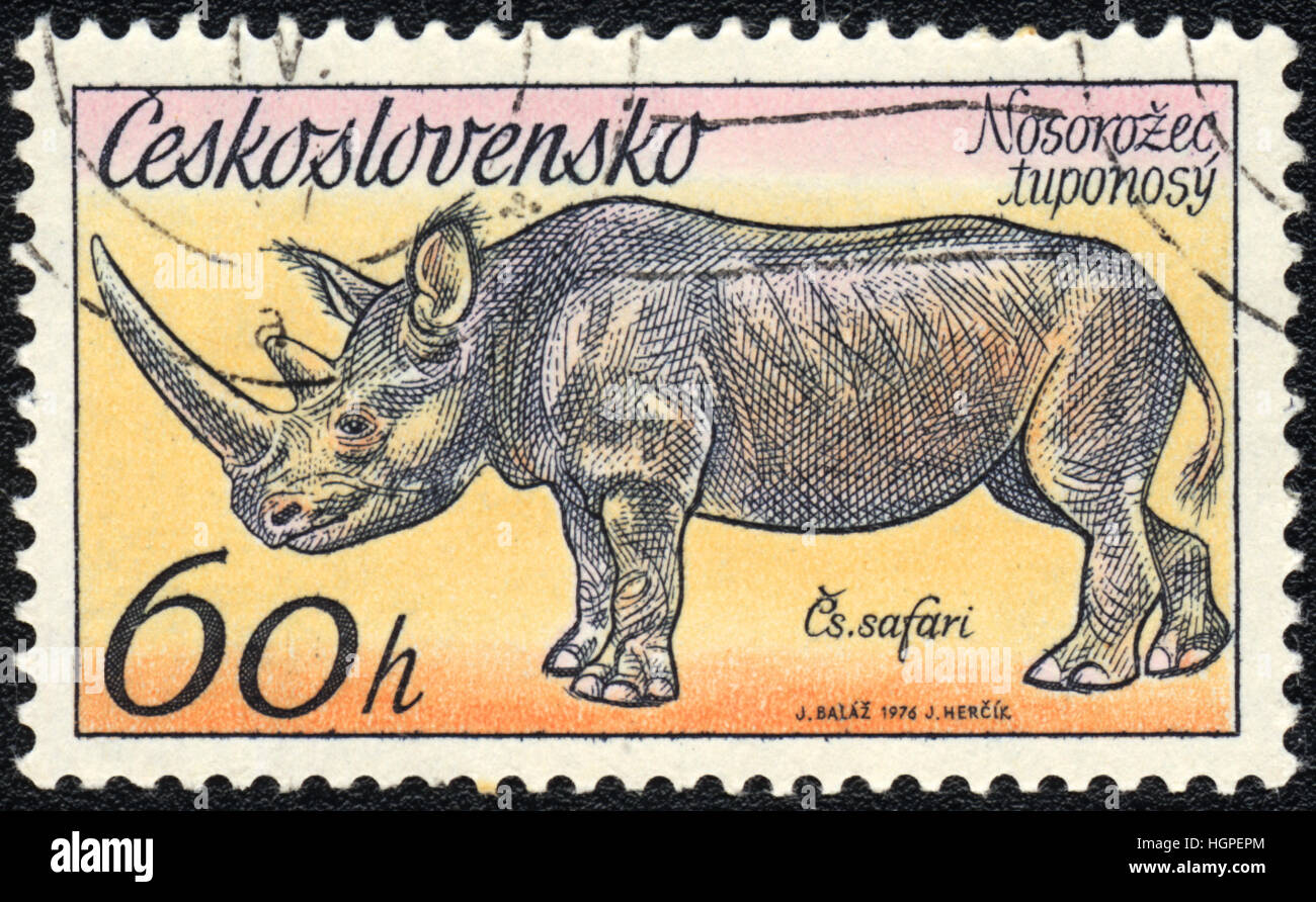 Eine Briefmarke gedruckt in der Tschechoslowakei zeigt Nashorn, 1976 Stockfoto