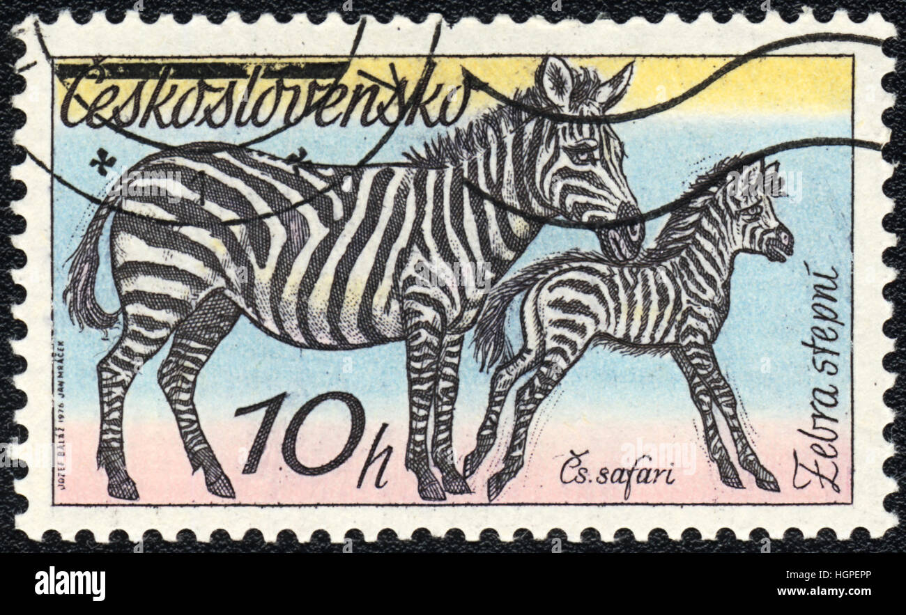 Eine Briefmarke gedruckt in der Tschechoslowakei zeigt Ebenen Zebra, 1976 Stockfoto