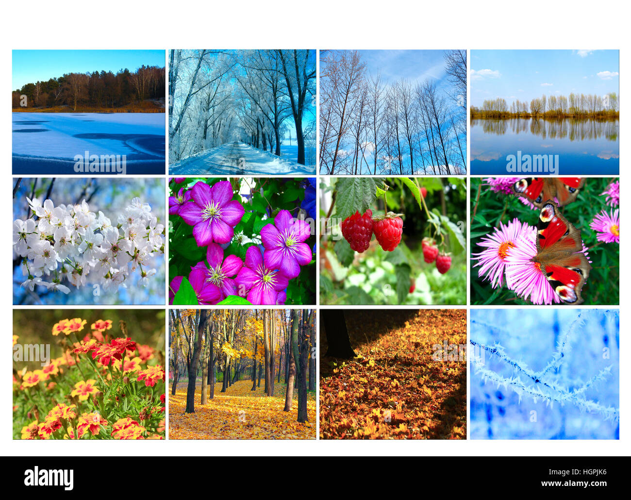 mit verschiedenen zwölf farbigen Bildern der Natur für Kalender leer Stockfoto