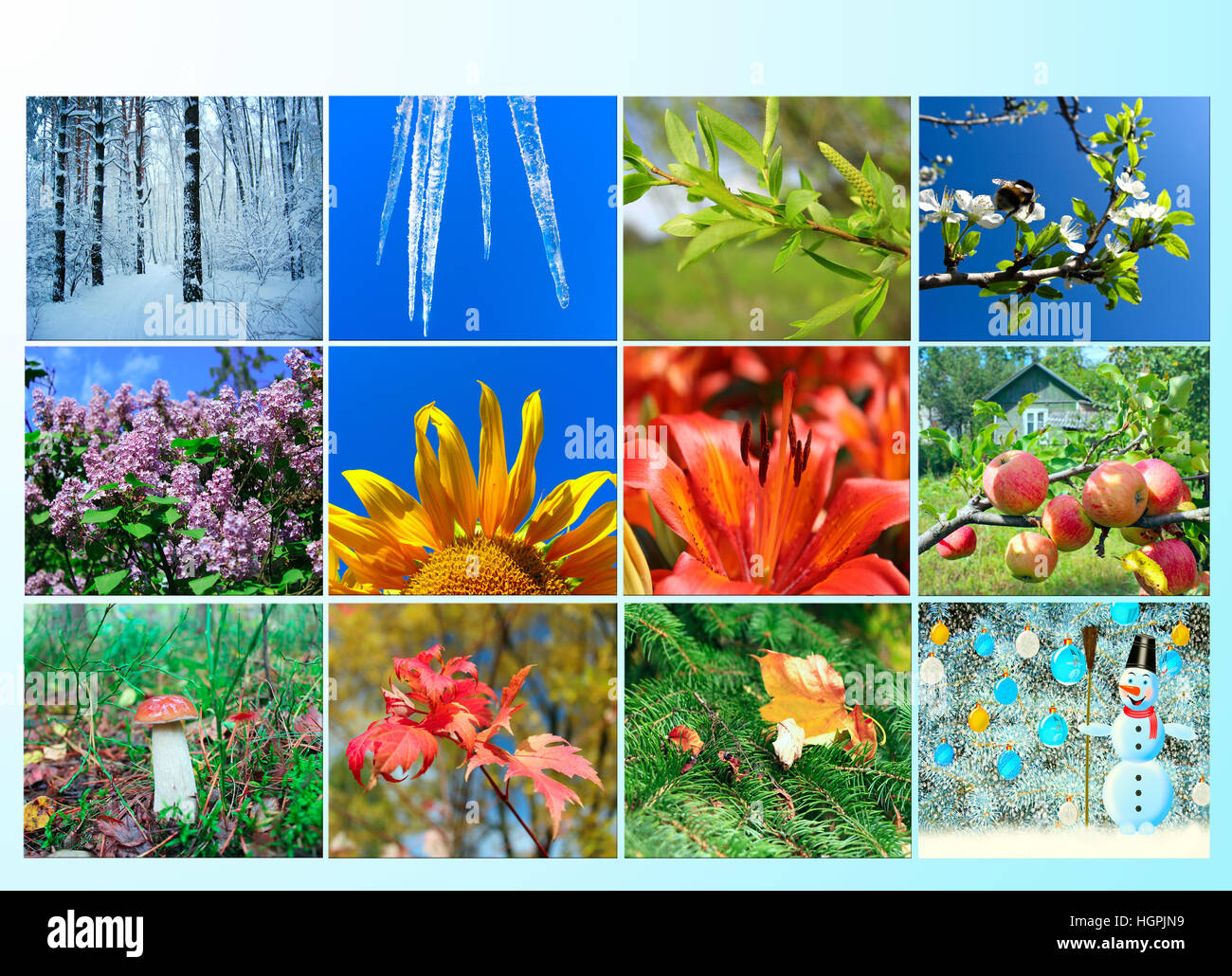 mit verschiedenen zwölf farbigen Bildern der Natur für Kalender leer Stockfoto