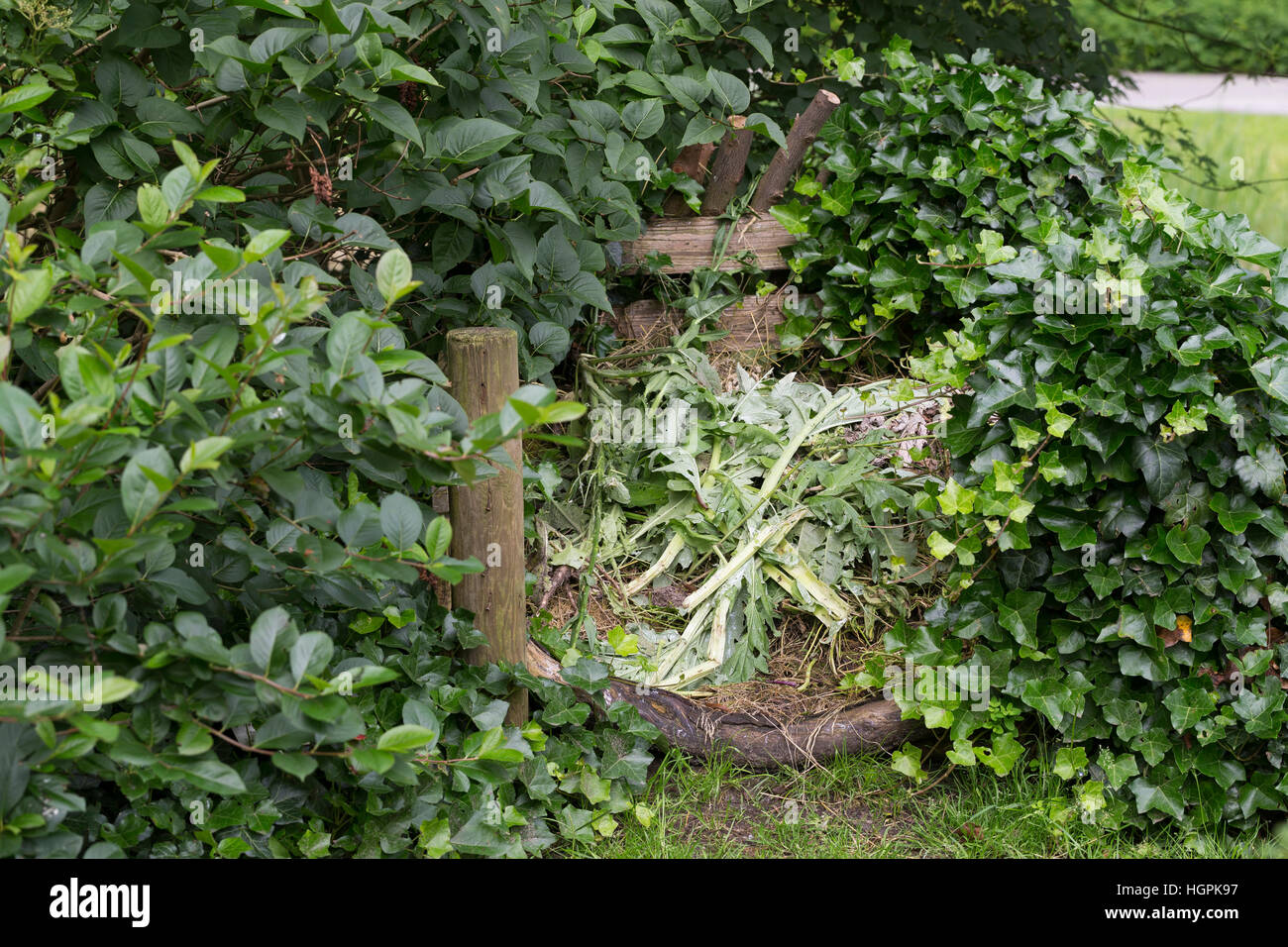 Komposthaufen, Kompost-Strafgeld, Kompost, Humus, Kompostieren, Kompostierung, Rotte, Gartenabfälle Im Garten, Naturgarten, Kompost-Haufen, Kompost, Humus Stockfoto