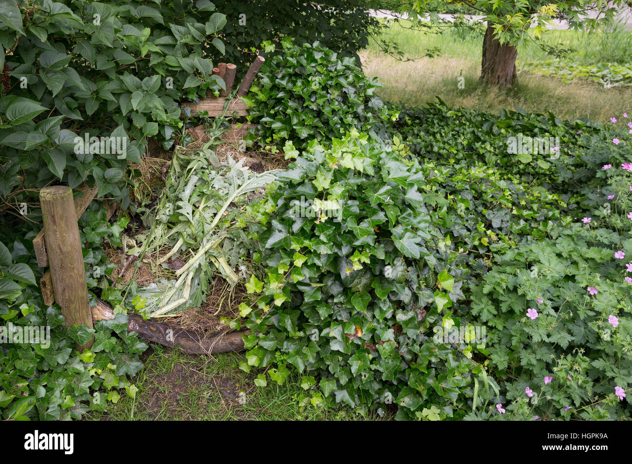 Komposthaufen, Kompost-Strafgeld, Kompost, Humus, Kompostieren, Kompostierung, Rotte, Gartenabfälle Im Garten, Naturgarten, Kompost-Haufen, Kompost, Humus Stockfoto