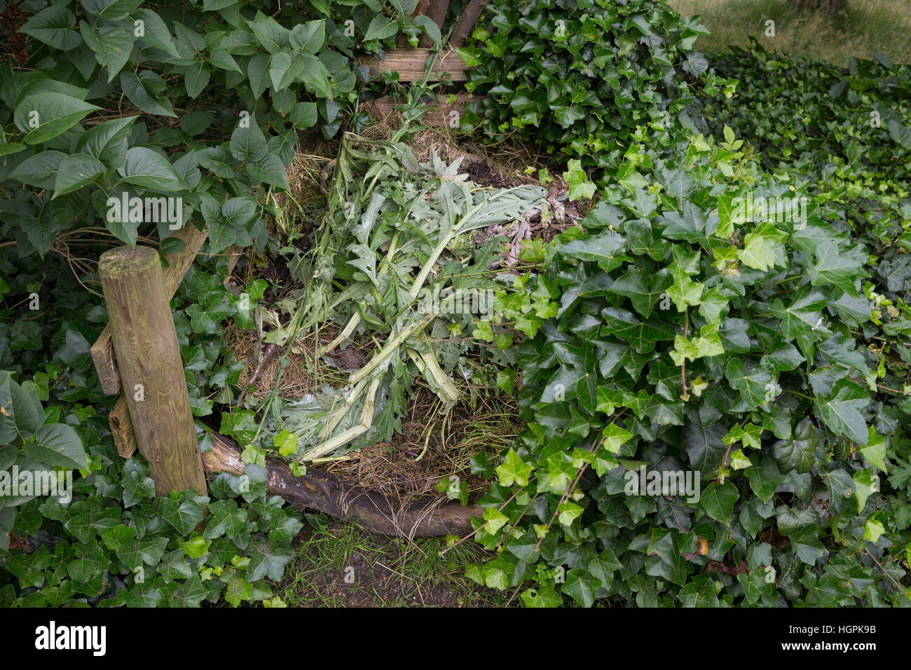 Komposthaufen, Kompost-Strafgeld, Kompost, Humus, Kompostieren, Kompostierung, Rotte, Gartenabfälle Im Garten, Naturgarten, Kompost-Haufen, Kompost, Humus Stockfoto