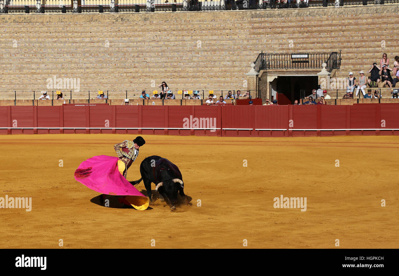 Stierkampf in der spanischen Arena Stockfoto