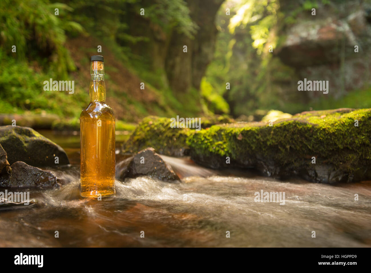 eine Flasche schottischen single-Malt-Whisky in Tumbling Quelle gespeist Fluss in einer wunderschönen Glen, Schottland. Stockfoto