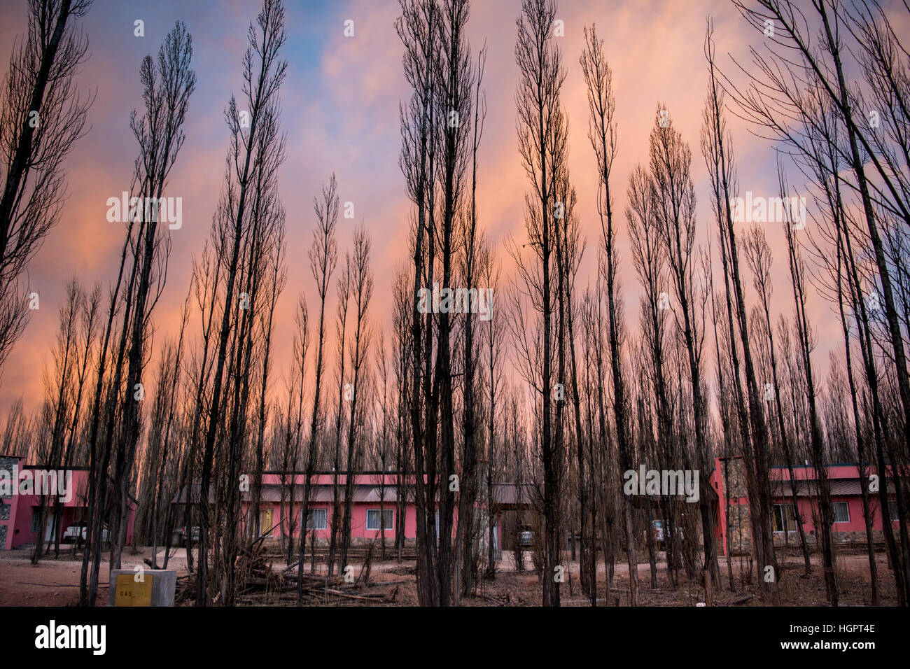 Häuser, Bäume und den orangefarbenen Himmel Patagoniens Stockfoto