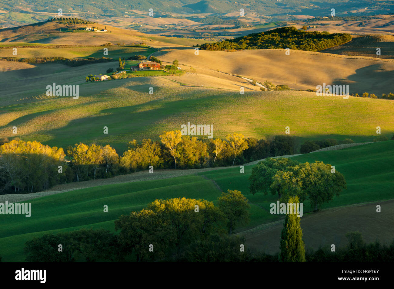 Späten Nachmittag Sonne auf die Landschaft des Val d ' Orcia in der Nähe von San Quirico, Toskana, Italien Stockfoto