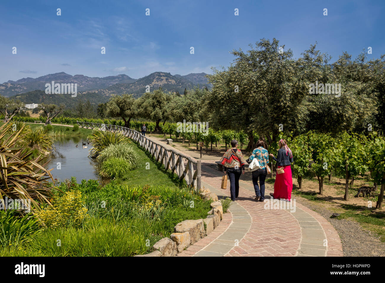 Touristen in Calistoga, Napa Valley, Castello di Amorosa, Napa County, Kalifornien Stockfoto