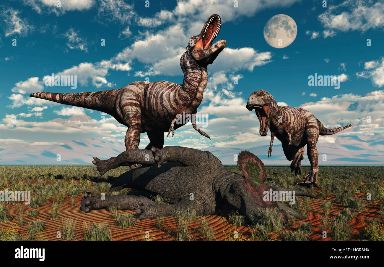 Ein paar von T-Rex mit einem Toten Triceratops. Stockfoto