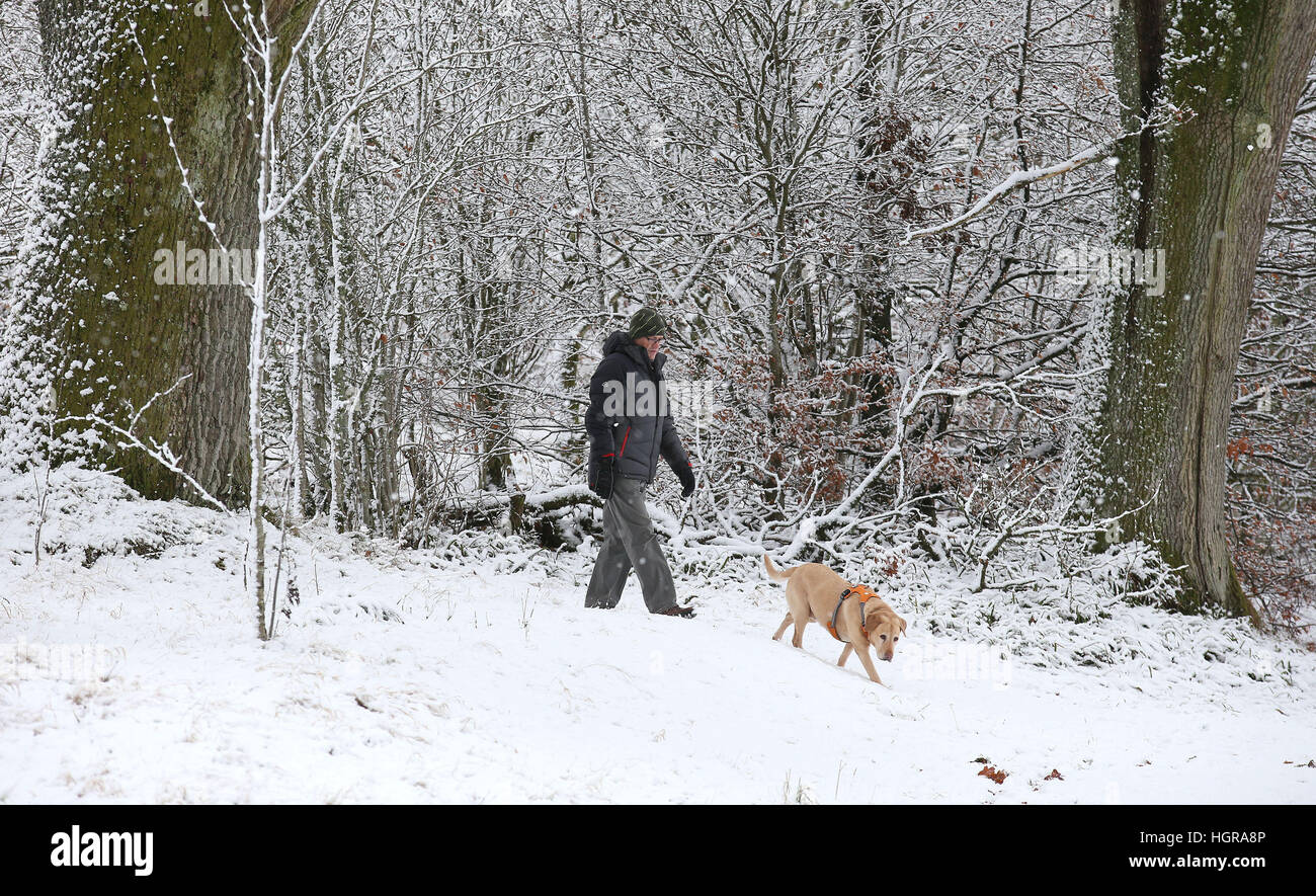 Ein Mann geht einen Hund auf dem Gelände des Braco Burg in Pethshire, da Blizzard Bedingungen festgelegt werden, um "einen echten Geschmack von Winter, das ganze des Vereinigten Königreichs" zu bringen. Stockfoto