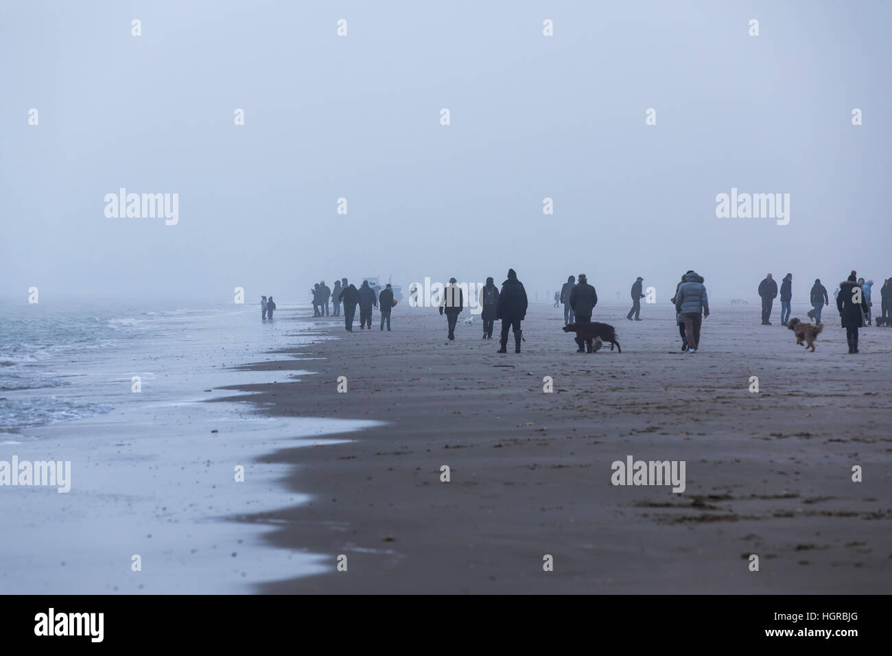 Spaziergänger am Strand in der Nähe von Bergen Aan Zee, Noord-Holland, Winter, Nebel, spazieren gehen Stockfoto