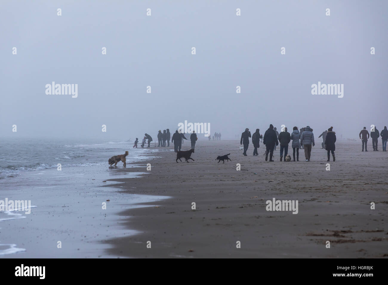 Spaziergänger am Strand in der Nähe von Bergen Aan Zee, Noord-Holland, Winter, Nebel, spazieren gehen Stockfoto
