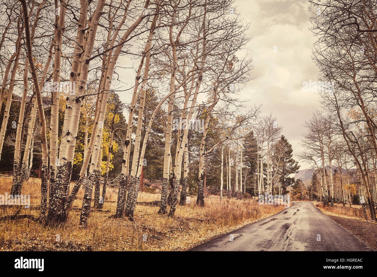 Retro-Farbe getönt Herbst Straße nach dem Regen. Stockfoto