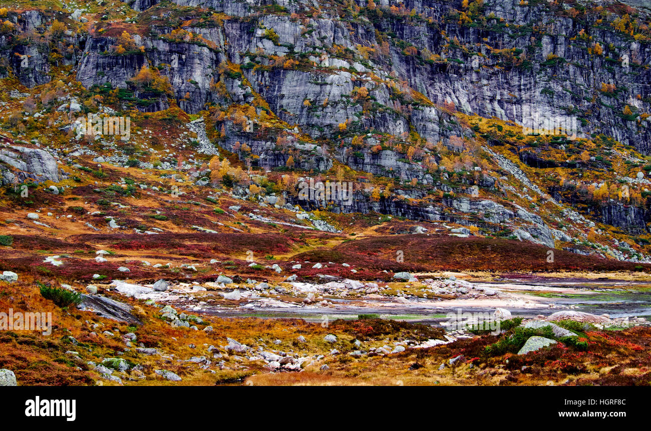 Norwegische Bergseite gekleidet in herbstlichen Farben aus verschiedenen Vegetation wie Bäume und Rasen Stockfoto